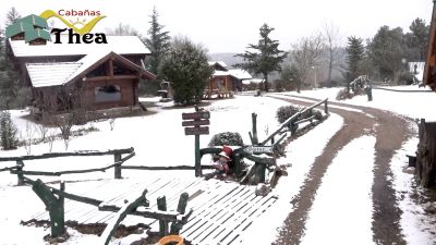 thea-nevada-01-09-18-2