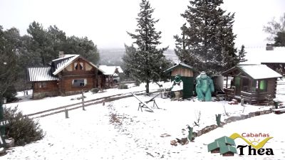 thea-nevada-01-09-18-3