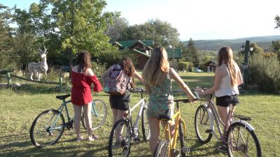 pile-enero-1-0012-layer-43