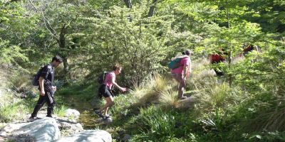 slider-caminata-vg-thea